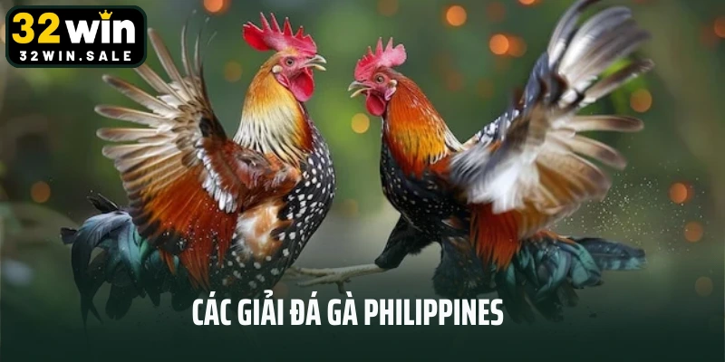 Các giải đá gà Philippines