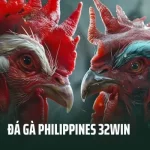 Đá Gà Philippines 32win – Đỉnh Cao Kỹ Thuật Và Sức Mạnh