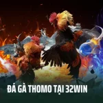 Xem Đá Gà Thomo Trực Tuyến Siêu Mãn Nhãn Tại 32win
