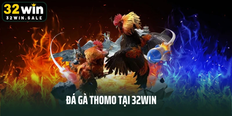 Xem Đá Gà Thomo Trực Tuyến Siêu Mãn Nhãn Tại 32win