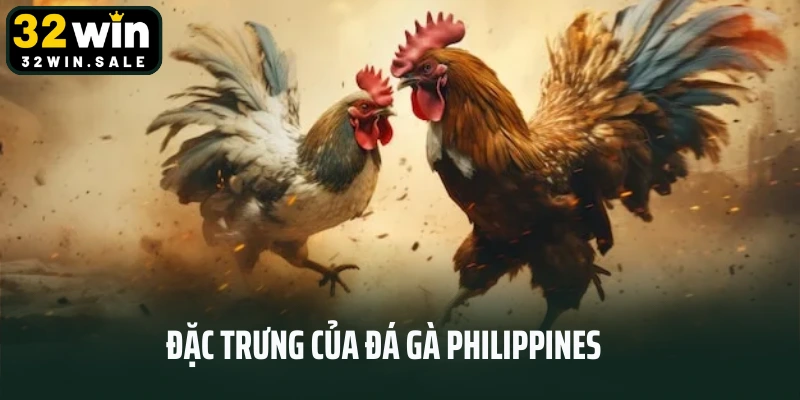 Đặc trưng của đá gà Philippines