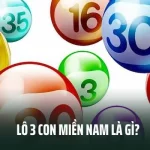 Lô 3 Con Miền Nam Là Gì? Cách Tính Tiền Và 3 Chiến Thuật Hiệu Quả